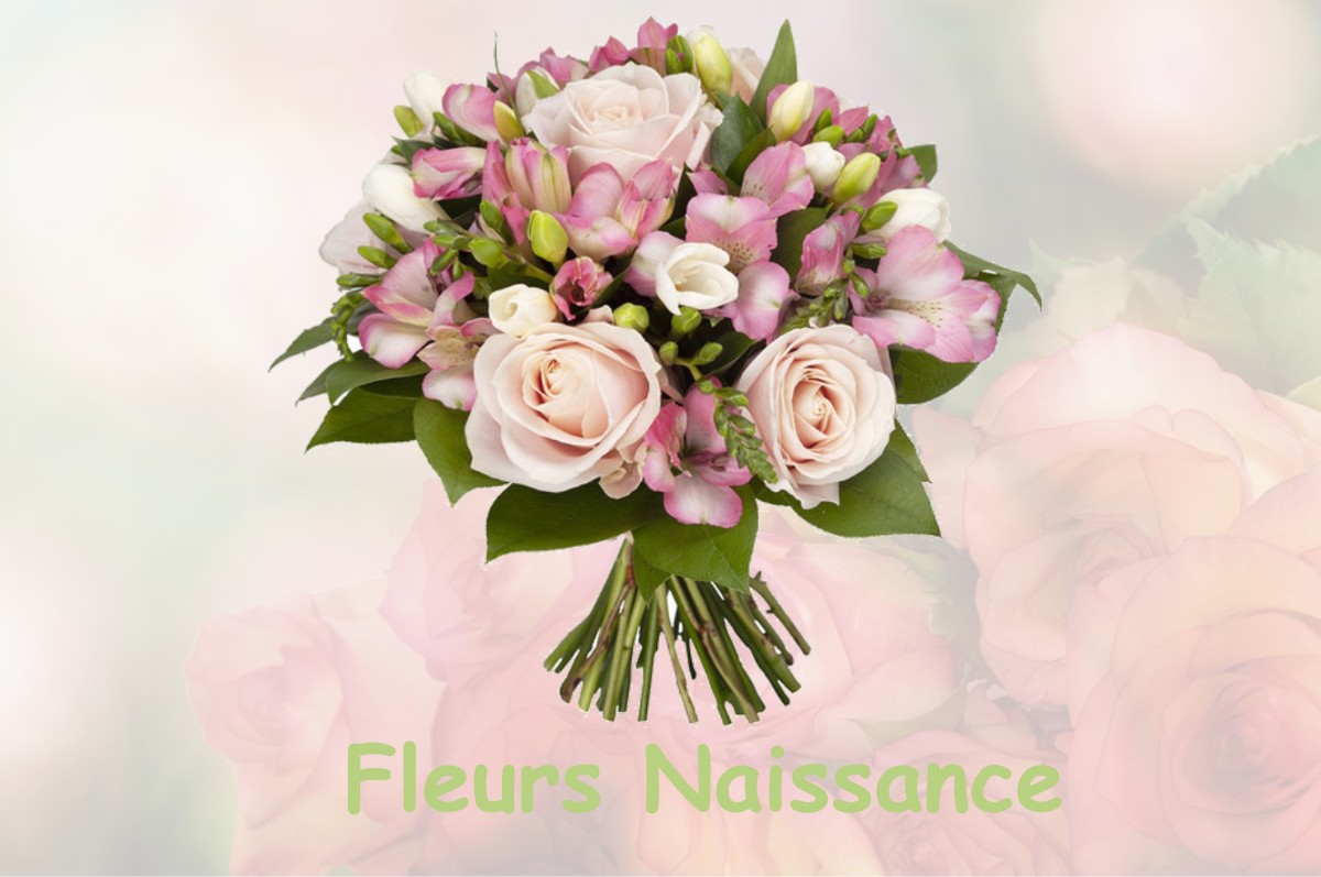 fleurs naissance IZERON